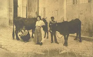 Milk Maid Prints: Naples, Italy - Milk Seller