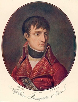 Appiani Gallery: Napoleon (Appiani)
