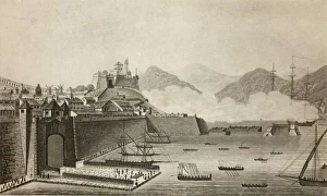 Conquering Collection: Napoleon Arrives at Elba