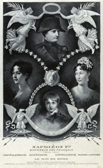 Imperial Gallery: Napoleon Bonaparte, Emperor of France and his family