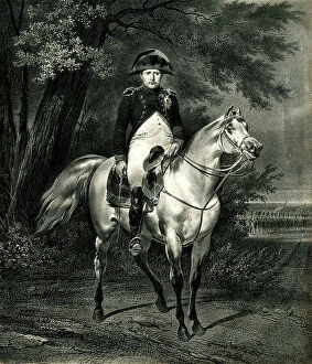 Bonaparte Collection: Napoleon Bonaparte on his horse Marengo