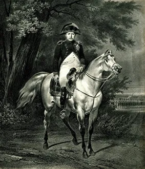Bonaparte Prints: Napoleon Bonaparte on his horse Marengo