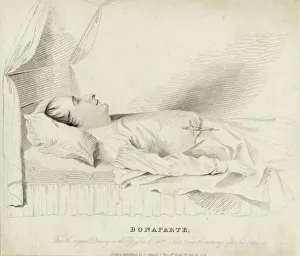 Helena Gallery: Napoleon Deathbed 1821