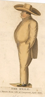 Napoleon in Exile