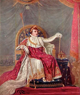 1805 Collection: Napoleon I / Garnerey