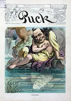 Narcissus Prints: Narcissus