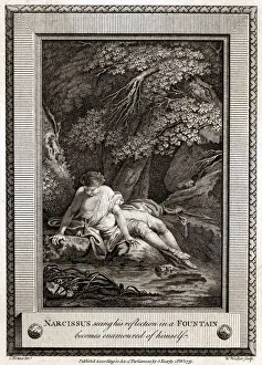 Images Dated 17th January 2019: NARCISSUS / CLASSICAL MYTH