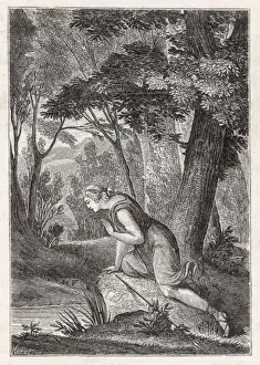 Narcissus / Classical Myth
