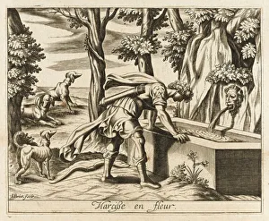 Enchanted Prints: NARCISSUS INTO FLOWER