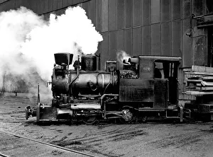 Stahl Prints: Narrow-guage locomotive 100.10