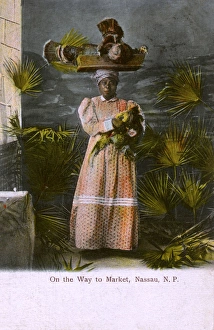 Nassau, Bahamas - Woman takes fowls to Market Nassau, Bahamas - Woman takes fowls to Market