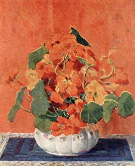 Nasturiums