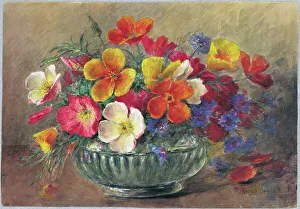 Nasturtium and Cornflowers