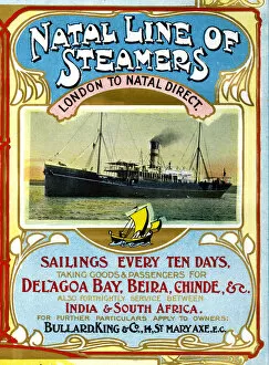 Natal Collection: Natal Line of Steamers, passenger ships