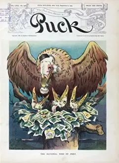 The national bird of prey