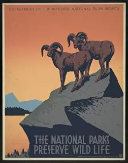 The national parks preserve wild life