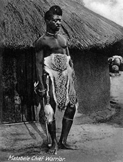 Tassel Collection: Native African Matabele chief warrior