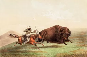Images Dated 8th September 2011: The Native American Indian Buffalo Chase