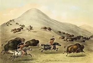 Images Dated 8th September 2011: Native American Indian Buffalo Hunt