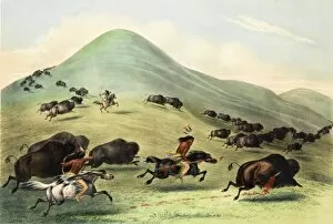 Images Dated 8th September 2011: Native American Indian Buffalo Hunt