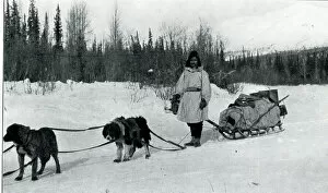 Native American Indian with dog sleigh