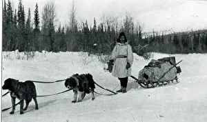 Sleigh Prints: Native American Indian with dog sleigh