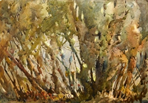 Images Dated 21st December 2011: Native American Indians in a wood