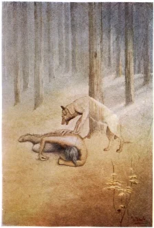 Native American Myth/C20
