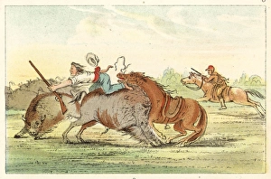 Hunting/Buffalo