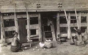 Native family home with poultry, Sumatra, Indonesia Native family home with poultry, Sumatra, Indonesia