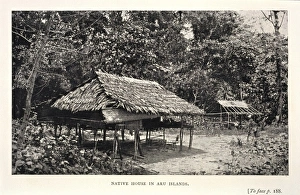Stilt Collection: Native house in Aru