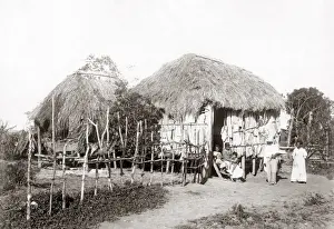 Puerto Prints: Native huts, Puerto Rico, circa 1900