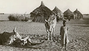Nile Collection: Native Life in Duem or Ed Dueim on the White Nile, Sudan