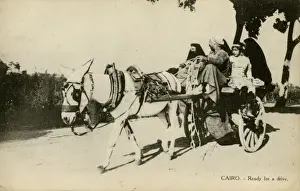 Native transport in Cairo, Egypt