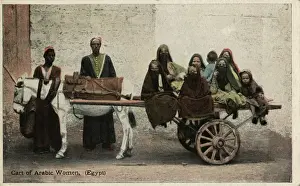Native transport in Egypt