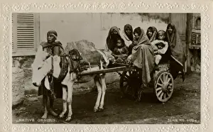 Native transport in Egypt