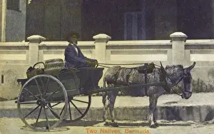 Wares Prints: Two Natives of Bermuda