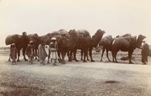 Frontier Prints: Natives and camels, Jamrud, North West Frontier Province