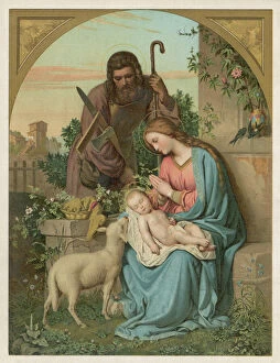 The Nativity Gallery: Nativity / With Lamb