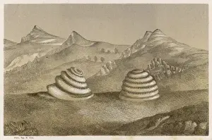 Wichita Prints: Natural Cylinders
