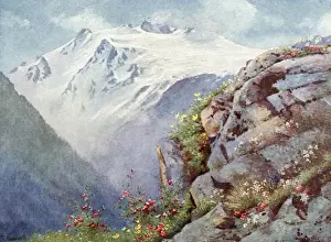 Outcrop Prints: Natural Garden in the Alps, Italy