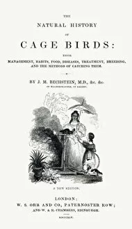 The Natural History of Cage Birds - Title Page