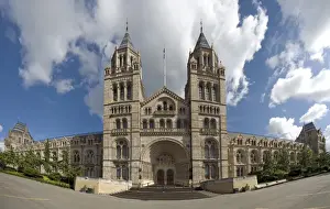 The Natural History Museum