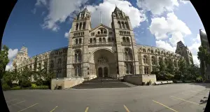 The Natural History Museum