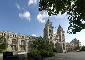 The Natural History Museum