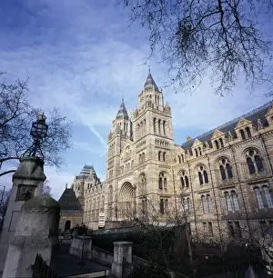 The Natural History Museum
