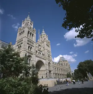 The Natural History Museum