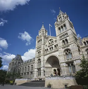 The Natural History Museum