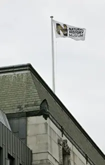 Natural History Museum flag