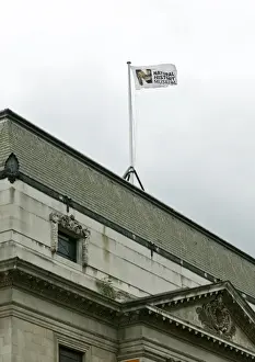Natural History Museum flag